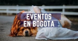 Eventos en Bogotá